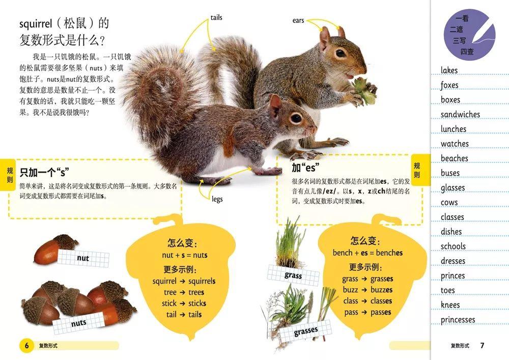 八卦一算得金言,天掉馅饼砸蛇上是什么生肖与警惕虚假宣传-全面释义、综合解答解释落实